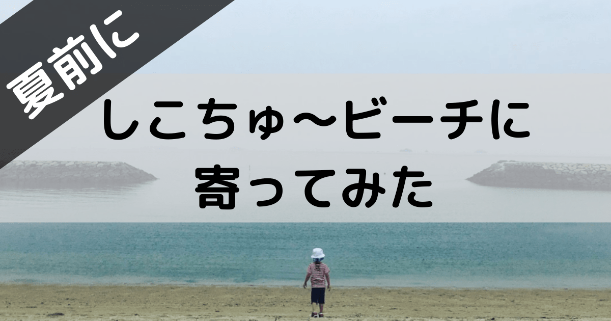 四国中央市海水浴場 寒川豊岡海浜公園ふれあいビーチに行ってきた ぶろぐしる