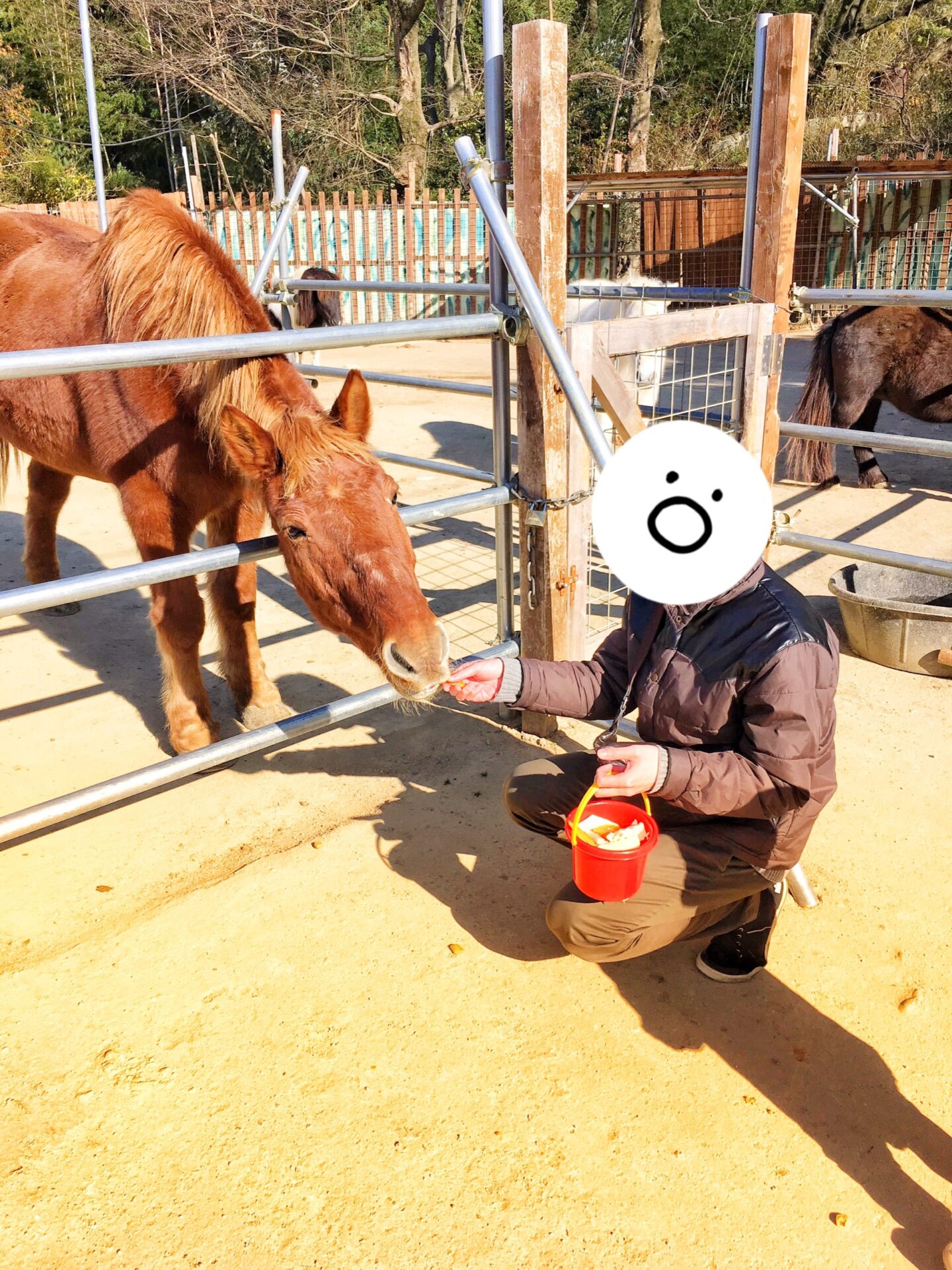 しろとり動物園