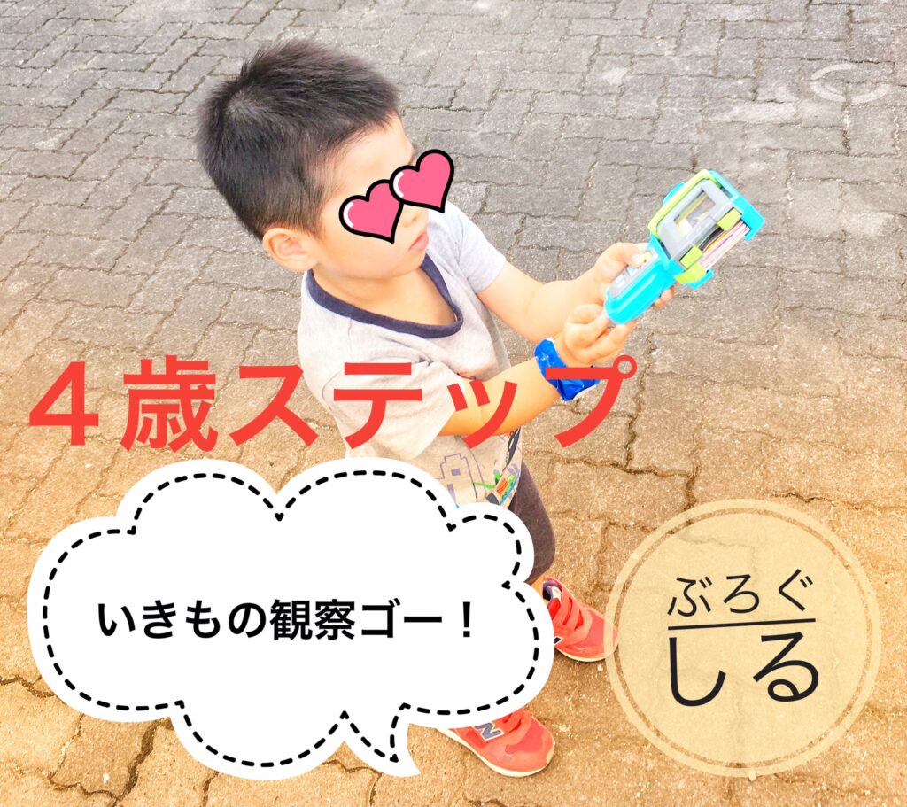 こどチャレステップいきものかんさつゴー