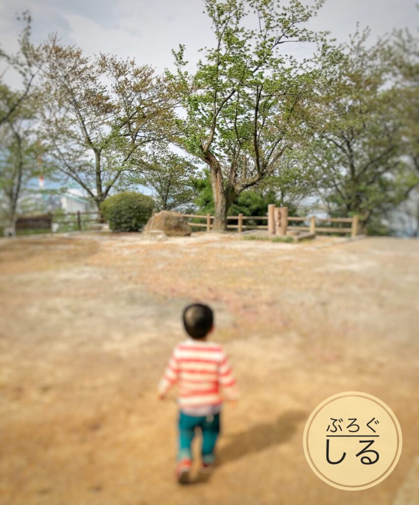 川之江城の桜(散ったあと)