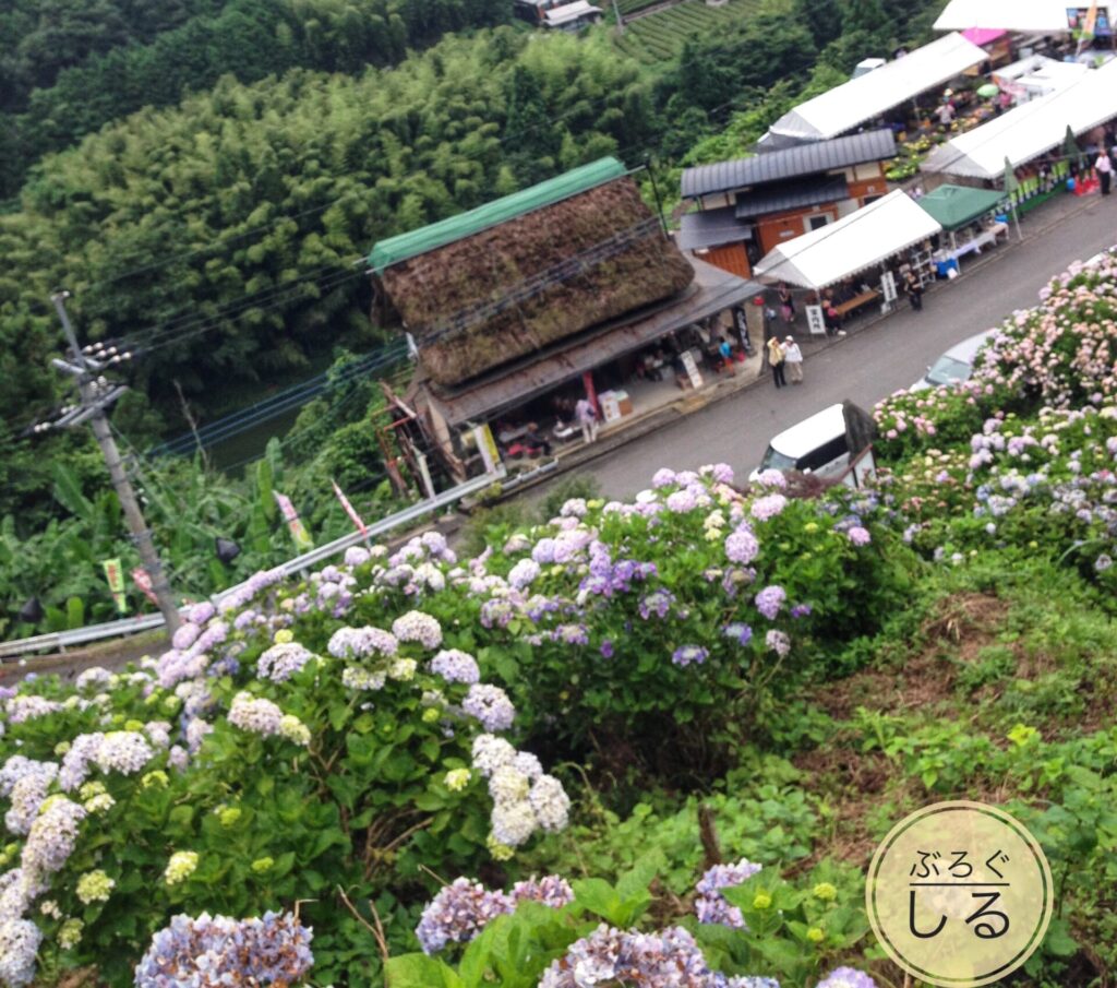 新宮あじさい祭りモノレール