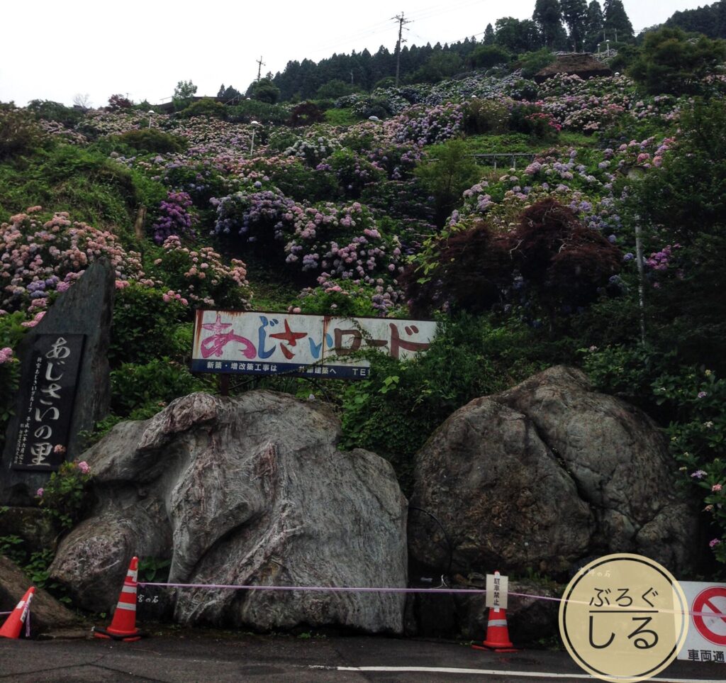 新宮あじさい祭り