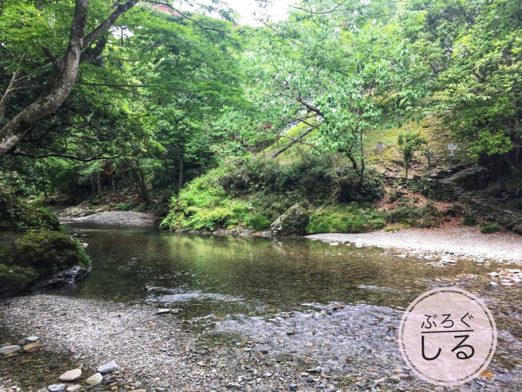 霧の森馬立川の流れは穏やか