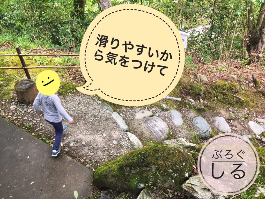 霧の森馬立川への道は滑りやすいよ