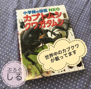 小学館の図鑑ネオカブトムシクワガタ