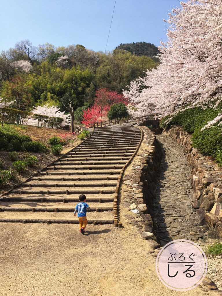 不動の滝カントリーパークの桜