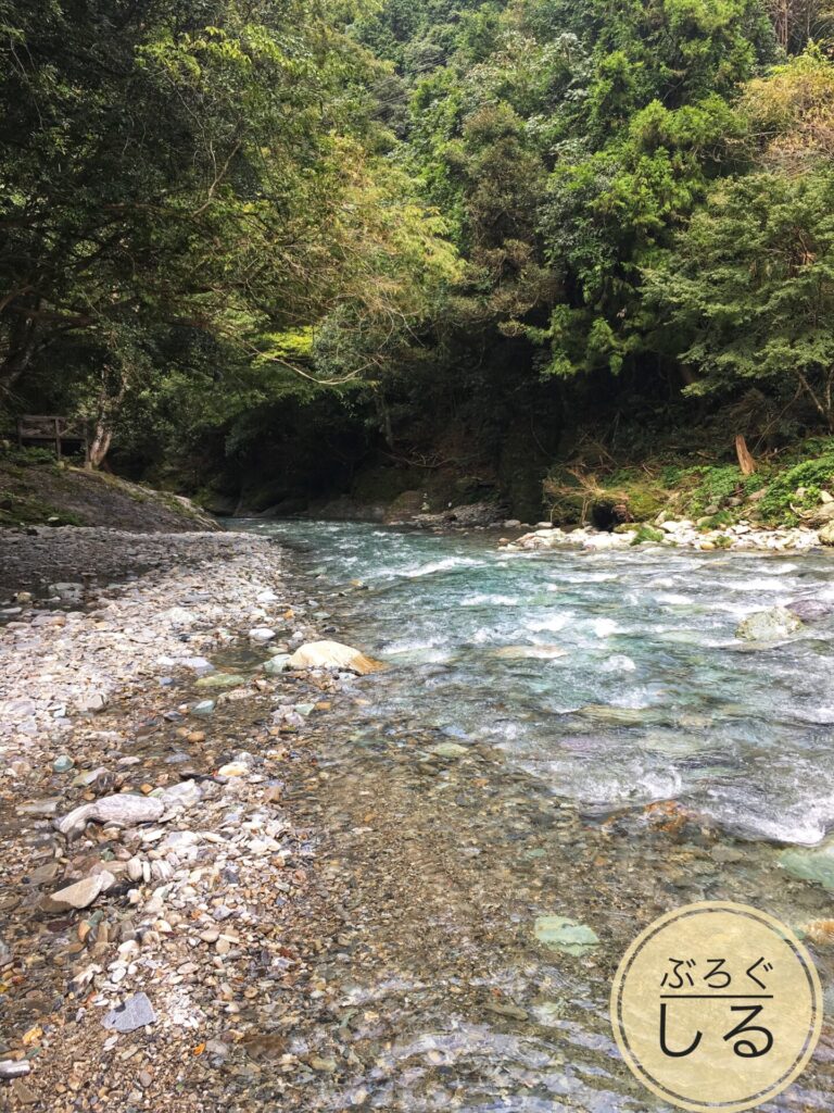 新宮馬立川で川遊び