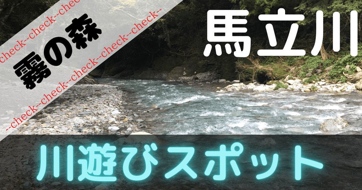 霧の森川遊び