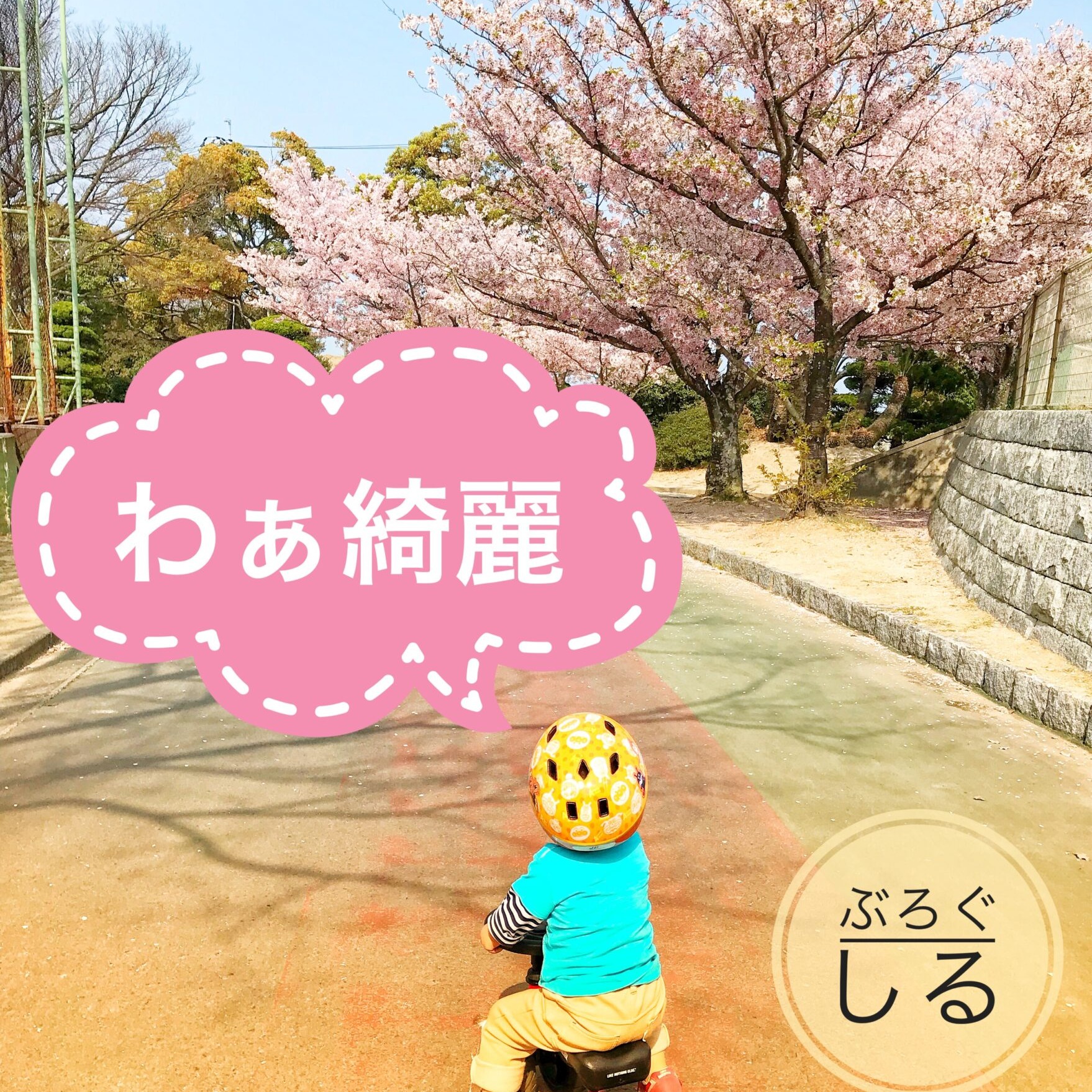 伊予三島運動公園の桜