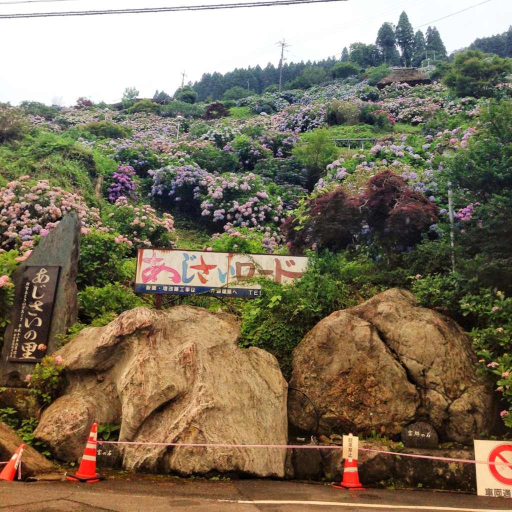 新宮あじさいの里