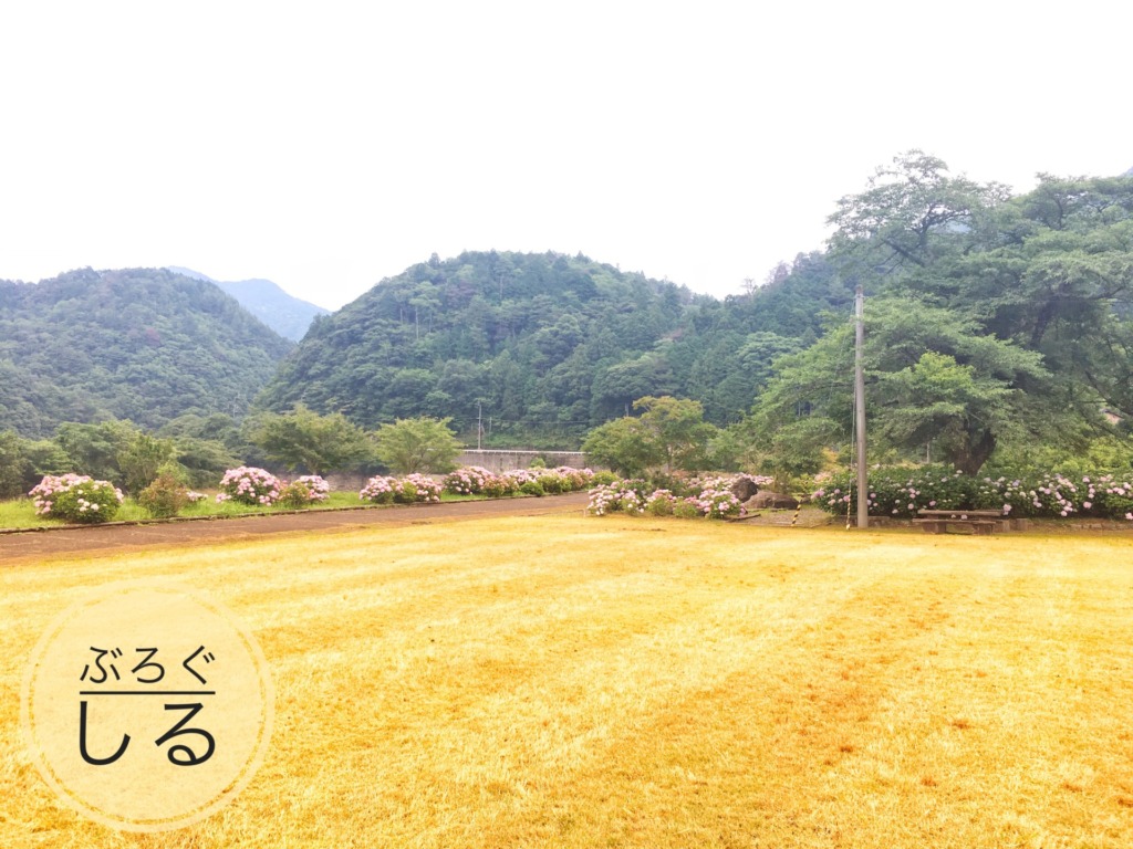 下長瀬あじさい公園の芝生