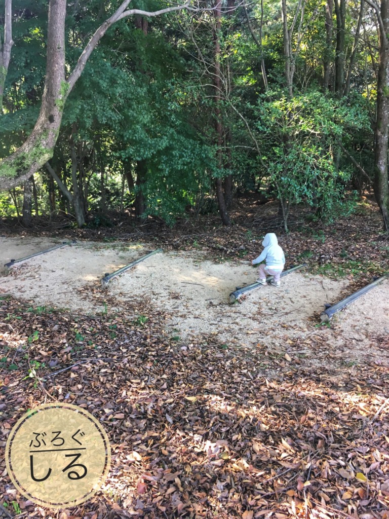 満濃池森林公園アスレチック