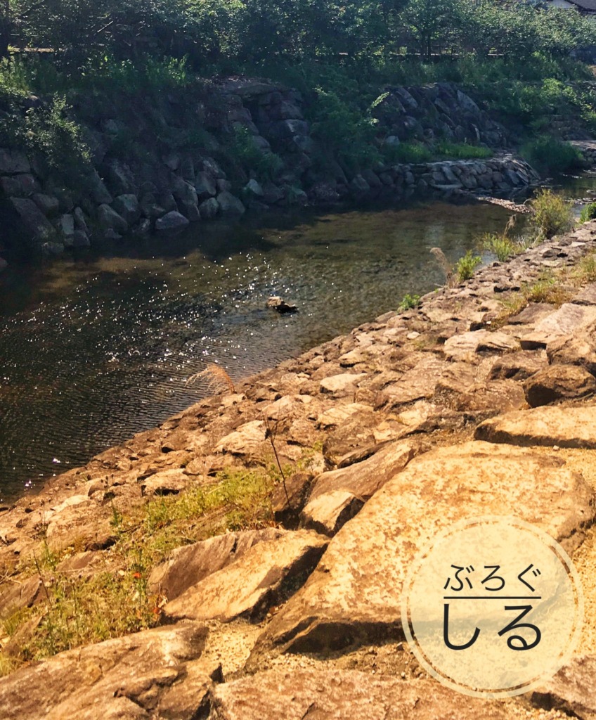 ほたる見公園の川