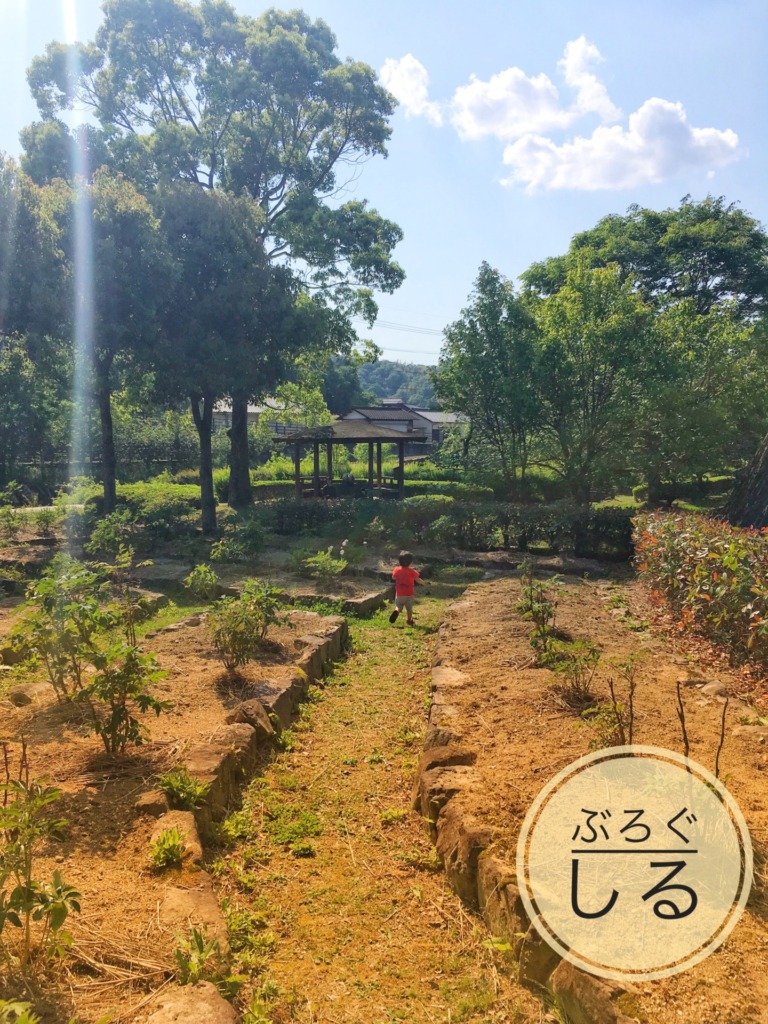 ほたる見公園香川県の牡丹ボタン