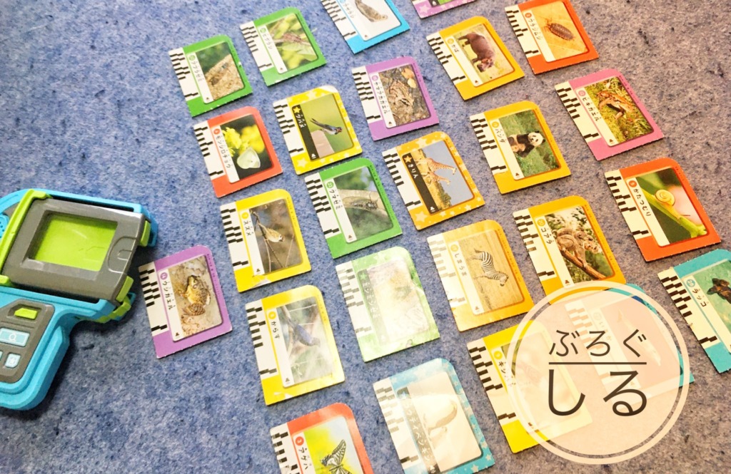 いきものかんさつゴーの遊び方