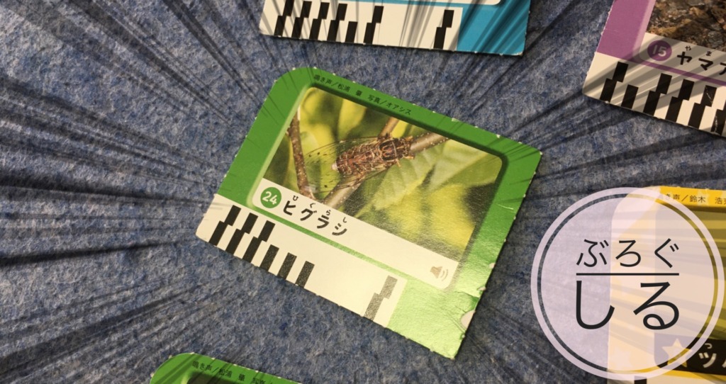 いきものかんさつゴーの遊び方