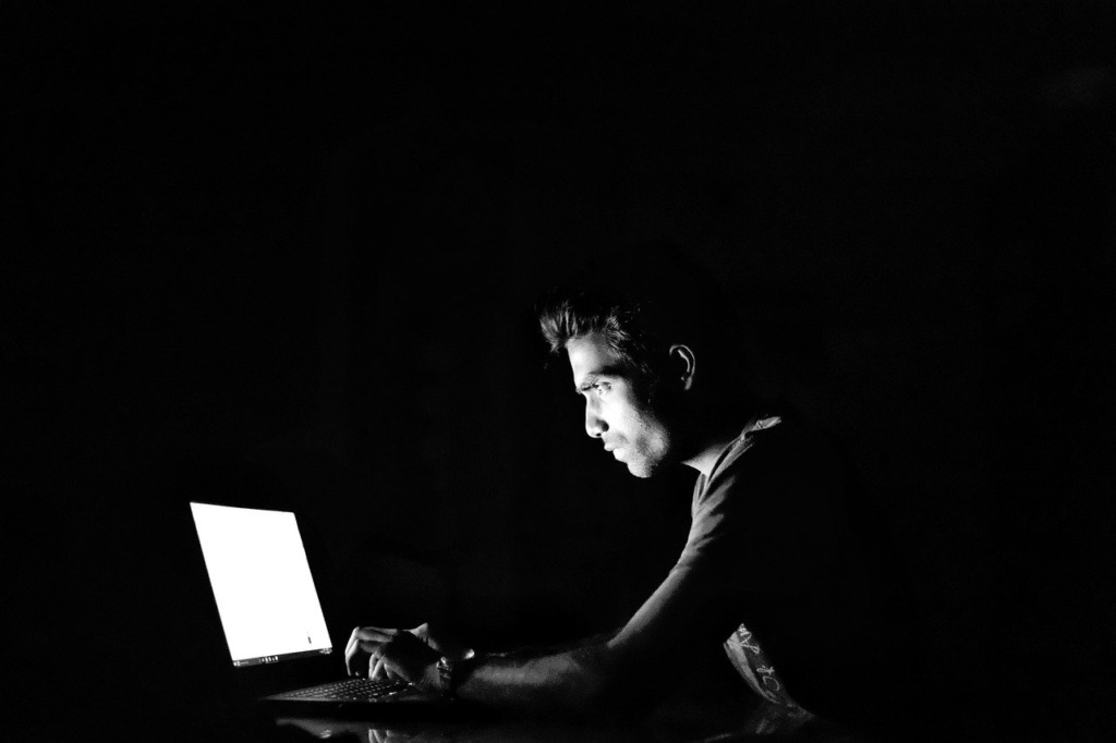 Hacking Cyber Blackandwhite Crime - iAmMrRob / Pixabay