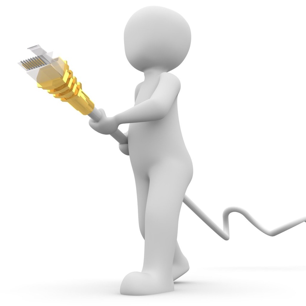Network Cable Ethernet Plug - Peggy_Marco / Pixabay