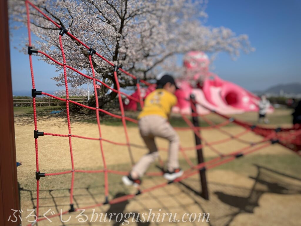 三島公園の新しい遊具で遊んできました