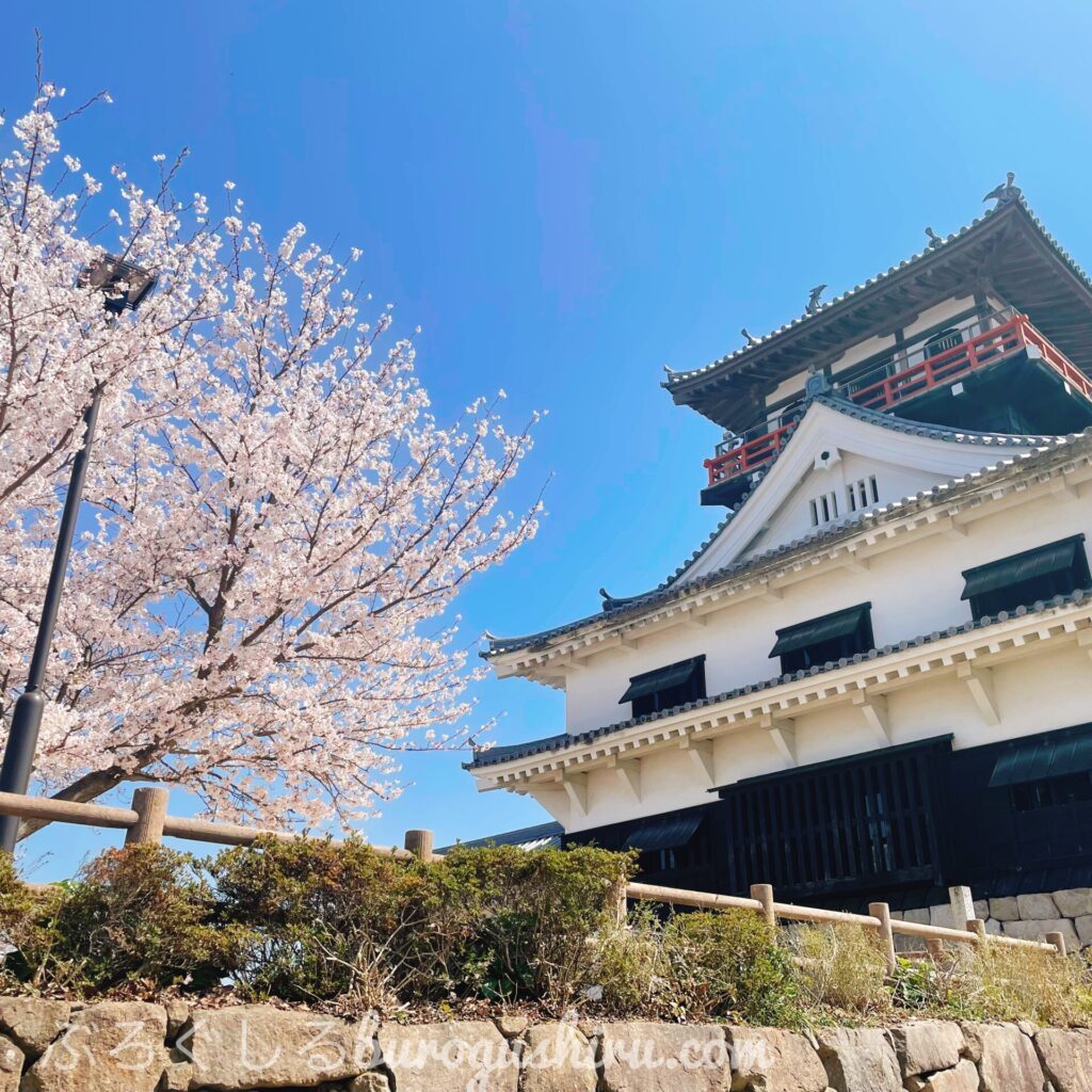 川之江城にお花見に行ってきた