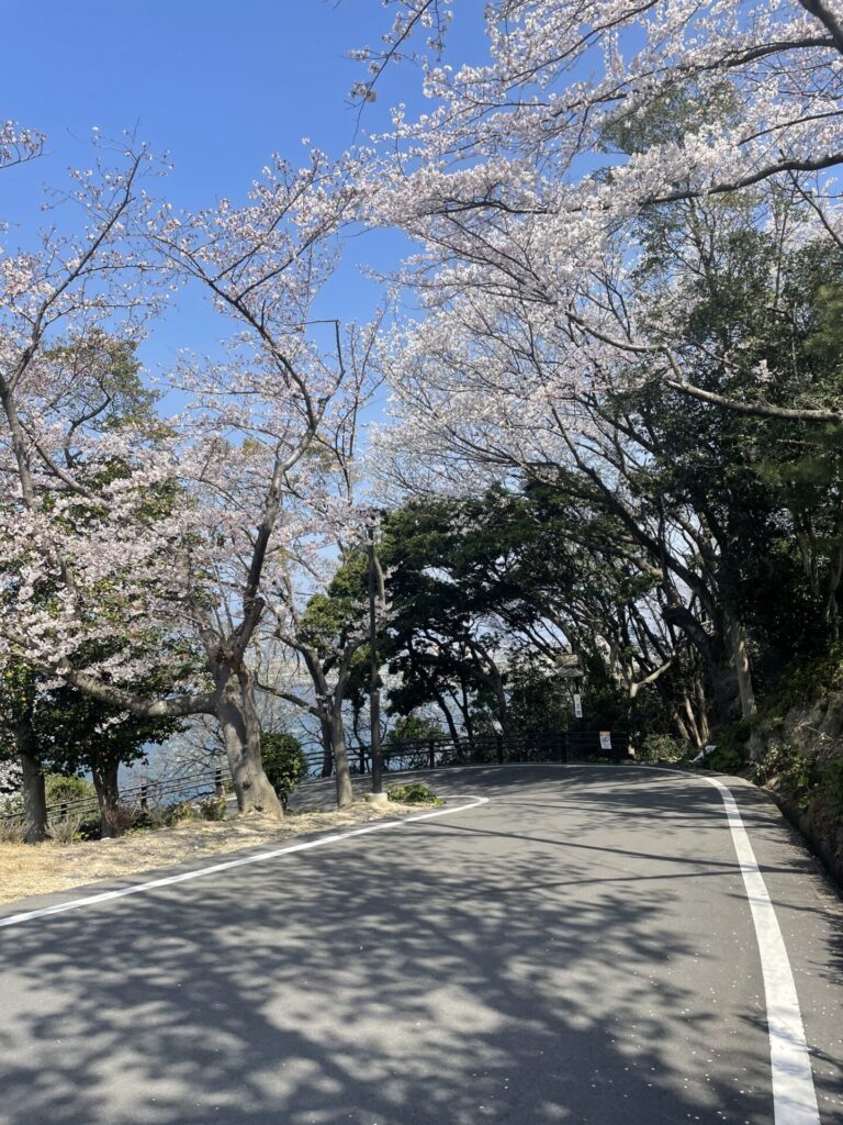 四国中央市の川之江城の天守閣までの道は狭いから注意してね！カーブも結構きつめ