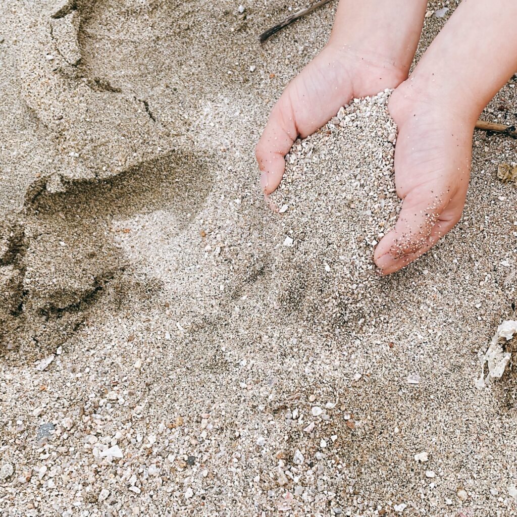 スナガニが潜んでいるであろう穴に乾いた砂を流し込む