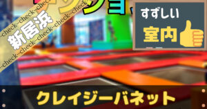 クレイジーバネット新居浜店で遊んできた口コミ