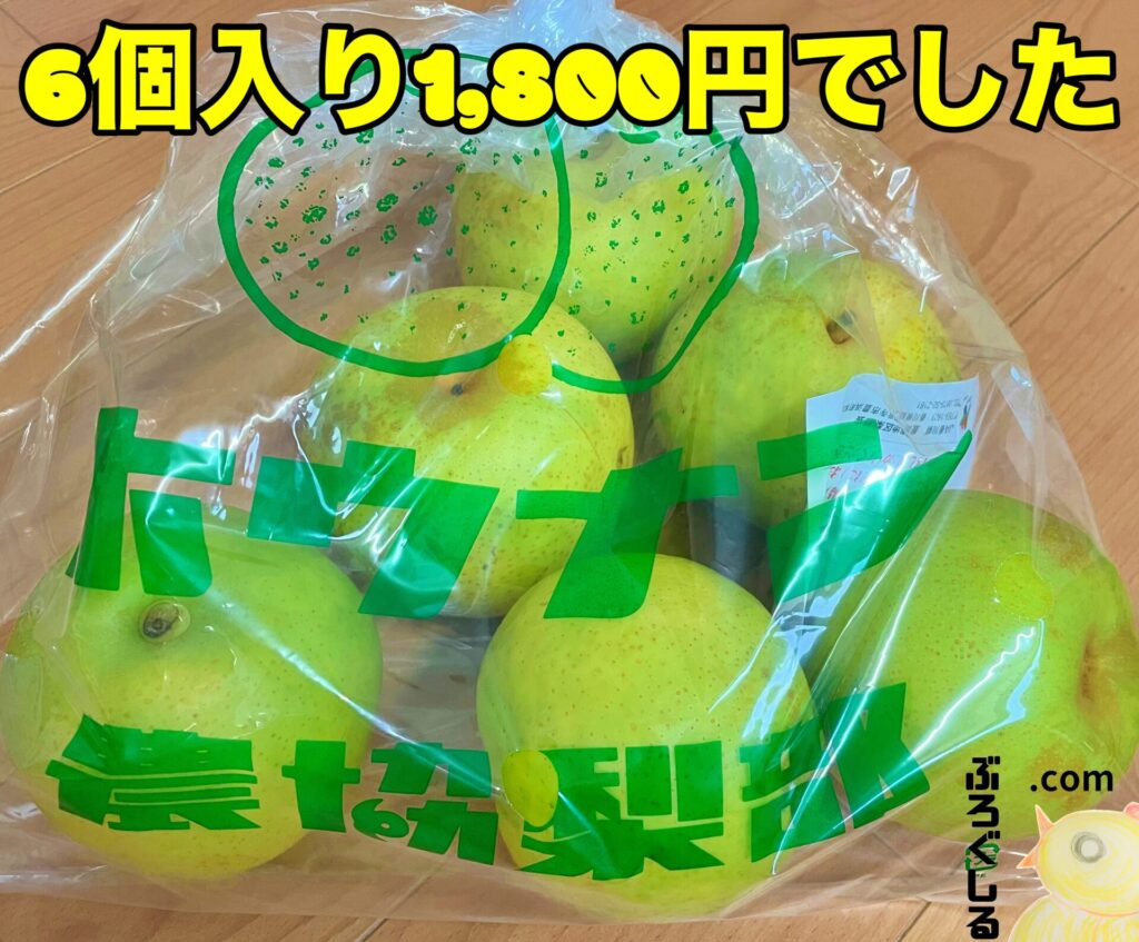 ホウナンの梨直売所で梨６個入りを1800円で買ってきたよ
